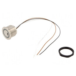 Comutator Anti-Vandalism SPST 0,1A 42VAC 60VDC | Electronic-mag.ro | Componente Electronice