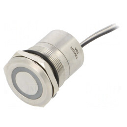 Comutator Capacitiv ON-OFF IP68 12V | Electronic-mag.ro | Componente Electronice