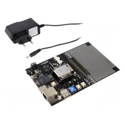 Kit Dezvoltare Microchip PIC24 Starterkit FLYPORTPRO WIFI | Electronic-mag.ro | Componente Electronice