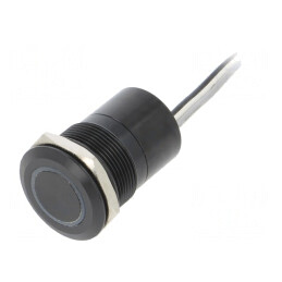Comutator Capacitiv ON-OFF IP68 12V | Electronic-mag.ro | Componente Electronice