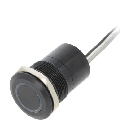 Comutator Capacitiv ON-OFF IP68 12V | Electronic-mag.ro | Componente Electronice
