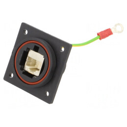 Adaptor Ethernet cu Împământare Buccaneer 8 PIN | Electronic-mag.ro | Componente Electronice