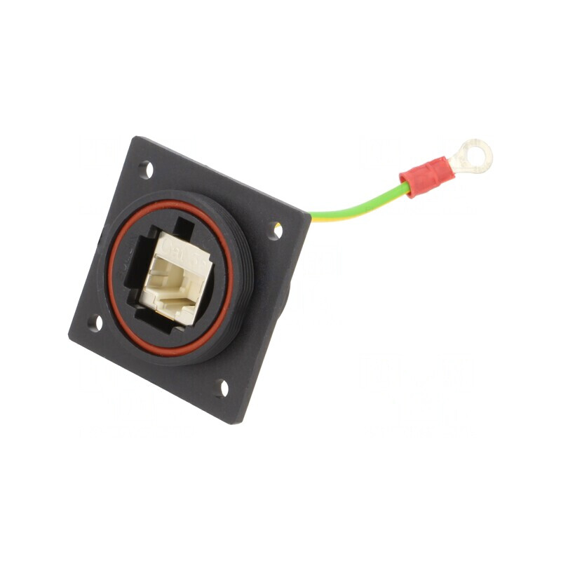 Adaptor Ethernet cu Împământare Buccaneer 8 PIN | Electronic-mag.ro | Componente Electronice Adaptor Ethernet cu Împământare Buccaneer 8 PIN | Electronic-mag.ro | Componente Electronice