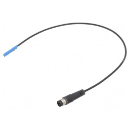 Senzor Câmp Magnetic PNP NO IP68 10-30VDC | Electronic-mag.ro | Componente Electronice