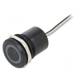 Comutator Capacitiv SPST-NO 12V IP68 | Electronic-mag.ro | Componente Electronice