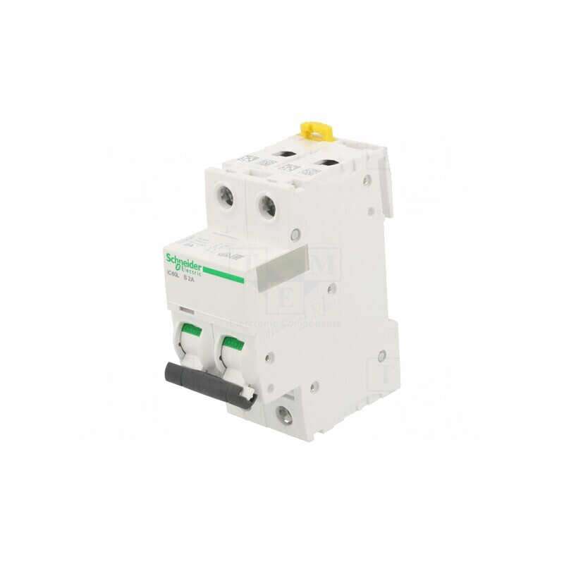 Întrerupător de Supracurent 2A 2P 230/400VAC 15kA | Electronic-mag.ro | Componente Electronice