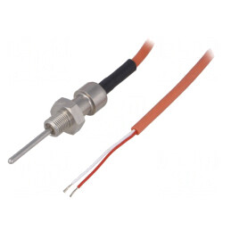 Senzor Temperatură Pt100 cu Cablu 2m, M10x1 | Electronic-mag.ro | Componente Electronice