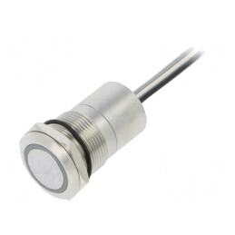 Comutator Capacitiv 2 Positii SPST-NO 12V IP68 | Electronic-mag.ro | Componente Electronice