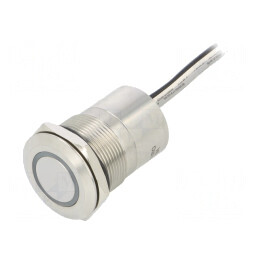 Comutator Capacitiv SPST-NO 12V IP68