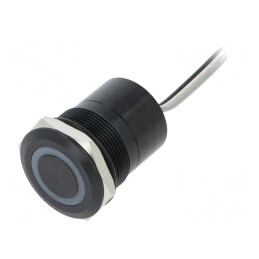 Comutator Capacitiv 2 Pozitii SPST-NO 12V IP68 | Electronic-mag.ro | Componente Electronice