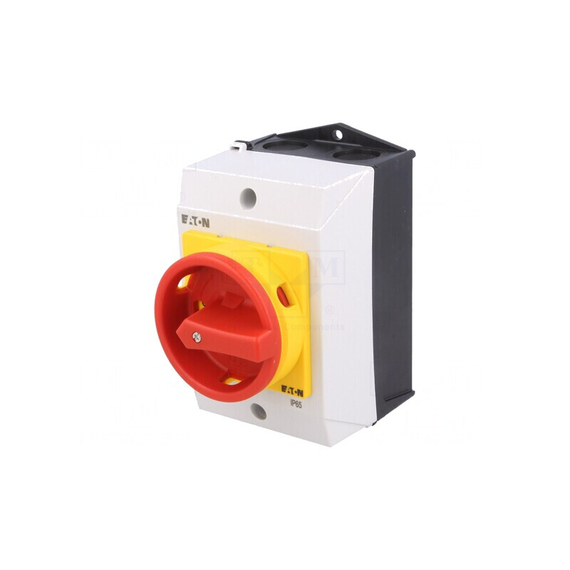 Comutator principal cu came 20A 2 poli OFF-ON | Electronic-mag.ro | Componente Electronice