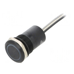 Comutator Capacitiv IP68 OFF-ON 12V | Electronic-mag.ro | Componente Electronice