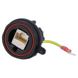 Adaptor Ethernet 0,8m Buccaneer cu Împământare Aurit | Electronic-mag.ro | Componente Electronice