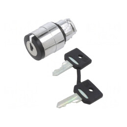 Comutator Rotativ cu Cheie 22mm 2 Poziții Negru | Electronic-mag.ro | Componente Electronice