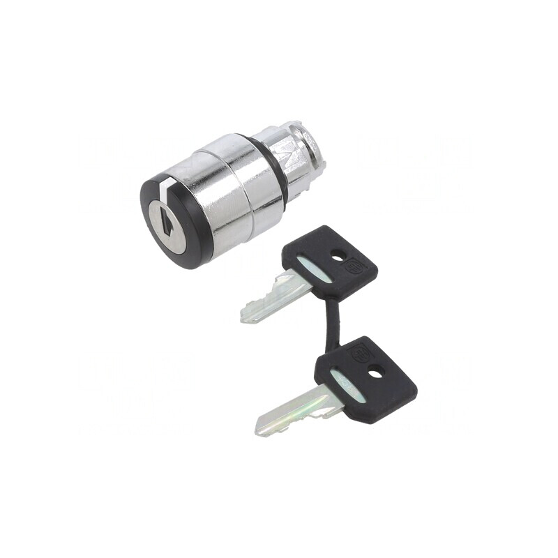 Comutator Rotativ cu Cheie 22mm 2 Poziții Negru | Electronic-mag.ro | Componente Electronice