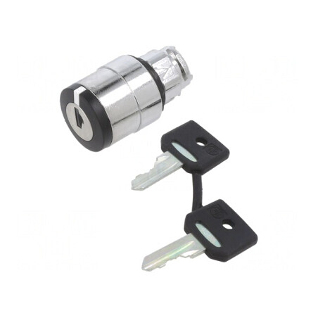 Comutator Rotativ cu Cheie 22mm 2 Poziții Negru | Electronic-mag.ro | Componente Electronice