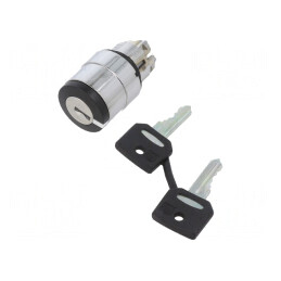 "Comutator Rotativ cu Cheie 22mm Negru 2 Poziții" | Electronic-mag.ro | Componente Electronice