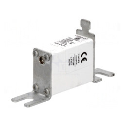 Siguranță AR 100A 690VAC NH000 170M1417 | Electronic-mag.ro | Componente Electronice