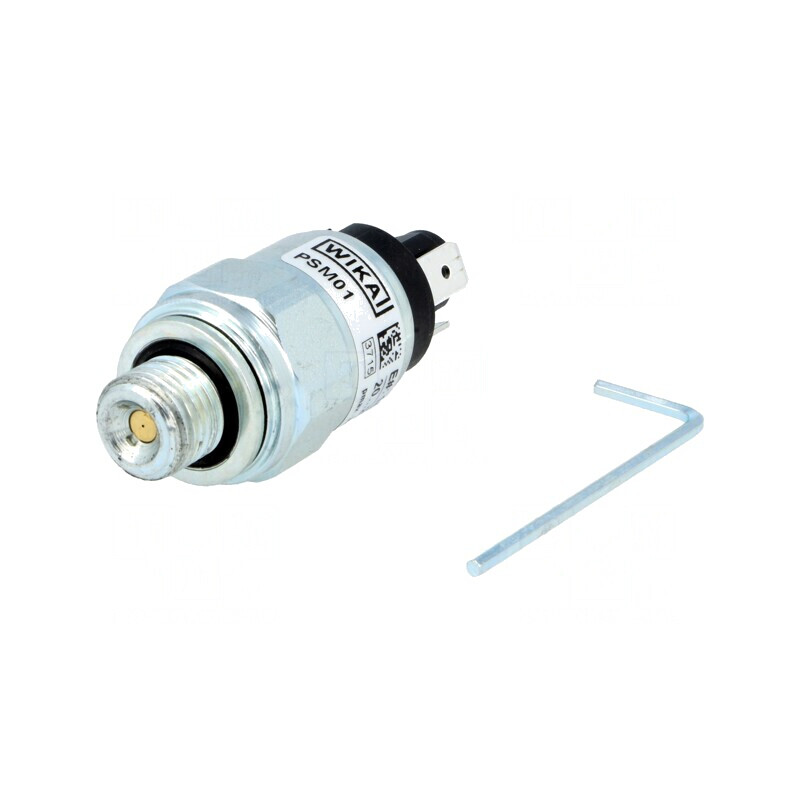 Presostat Presiune Relativă SPDT G 1/4 | Electronic-mag.ro | Componente Electronice
