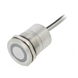 Comutator Capacitiv 2 SPST-NC IP68 12V | Electronic-mag.ro | Componente Electronice