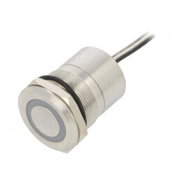 Comutator Capacitiv 2 Poziții SPST-NC 12VDC IP68 | Electronic-mag.ro | Componente Electronice