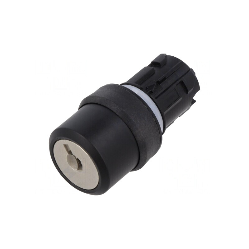 Comutator rotativ cu cheie 22mm 2 poziții fără proeminent | Electronic-mag.ro | Componente Electronice Comutator rotativ cu cheie 22mm 2 poziții fără proeminent | Electronic-mag.ro | Componente Electronice