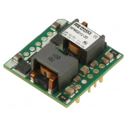Convertor DC/DC 18-75V la 12V 20A THT RPMGS12-20 | Electronic-mag.ro | Componente Electronice
