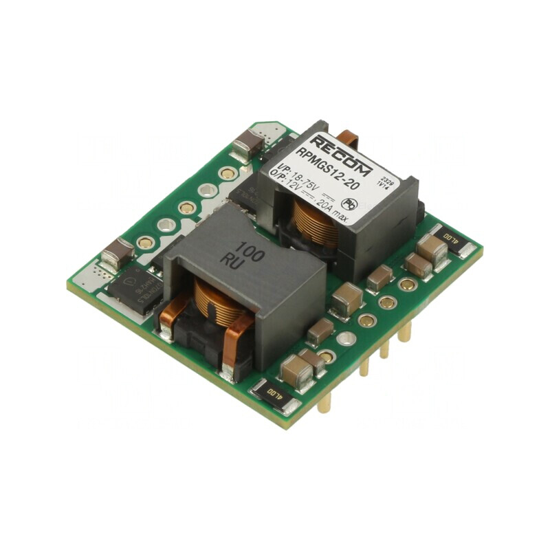 Convertor DC/DC 18-75V la 12V 20A THT RPMGS12-20 | Electronic-mag.ro | Componente Electronice