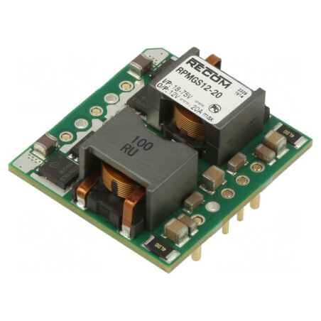 Convertor DC/DC 18-75V la 12V 20A THT RPMGS12-20 | Electronic-mag.ro | Componente Electronice