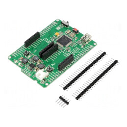 Kit Dezvoltare Microchip PIC32 - Documentație și Placă Prototip | Electronic-mag.ro | Componente Electronice