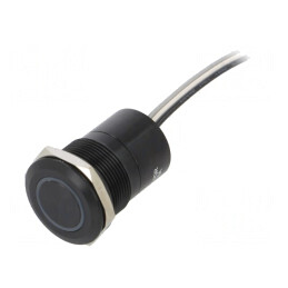 Comutator Capacitiv IP68 OFF-ON 12V DC | Electronic-mag.ro | Componente Electronice