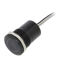 Comutator Capacitiv 2 Pozitii SPST-NO 12V IP68 | Electronic-mag.ro | Componente Electronice