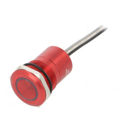 Comutator Capacitiv SPST-NO 12V IP68