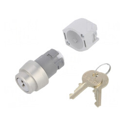 Comutator Rotativ cu Cheie 22mm 2 Poziții Argintiu | Electronic-mag.ro | Componente Electronice