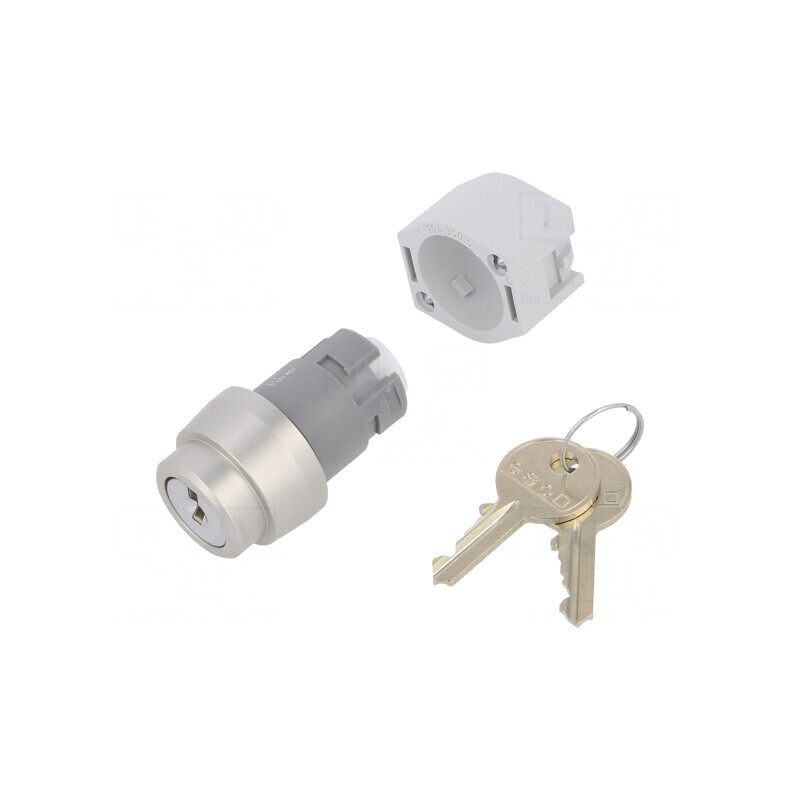 Comutator Rotativ cu Cheie 22mm 2 Poziții Argintiu | Electronic-mag.ro | Componente Electronice