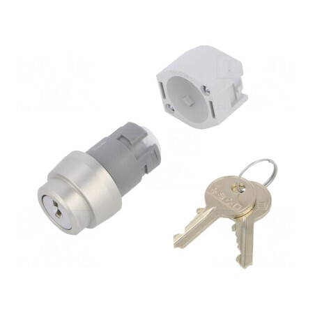 Comutator Rotativ cu Cheie 22mm 2 Poziții Argintiu | Electronic-mag.ro | Componente Electronice