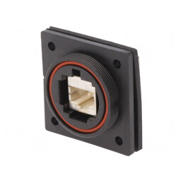 Adaptor Ethernet Buccaneer 5e Poliamidă Aurit 1,5A | Electronic-mag.ro | Componente Electronice