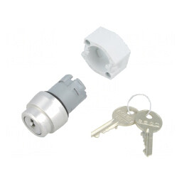 Comutator Rotativ cu Cheie 22mm Argintie 3 Pozitii | Electronic-mag.ro | Componente Electronice