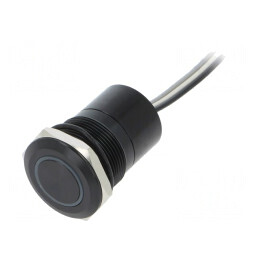 Comutator Capacitiv SPST-NC IP68 12V | Electronic-mag.ro | Componente Electronice