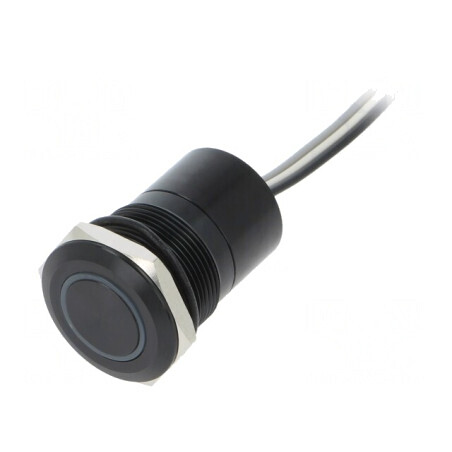 Comutator Capacitiv SPST-NC IP68 12V | Electronic-mag.ro | Componente Electronice