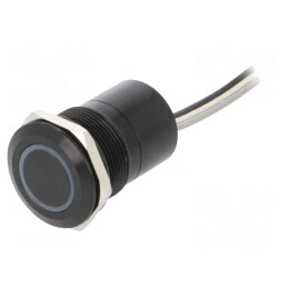 Comutator capacitiv 2 poziții SPST NO 0,01A 12V IP68 OFF-(ON) | Electronic-mag.ro | Componente Electronice