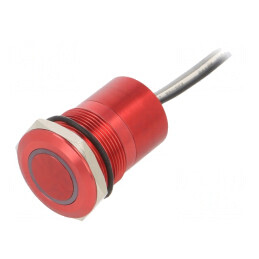 Comutator Capacitiv SPST-NO 12V IP68