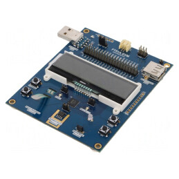 Kit Dezvoltare FTDI USB A x2 8051 FT51A-EVM | Electronic-mag.ro | Componente Electronice