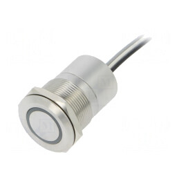 Comutator Capacitiv 2 Poz SPST-NO 0,01A 12VDC IP68