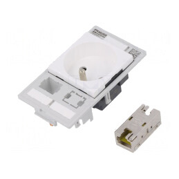 Soclu E 250VAC 16A IP20 pe Panou cu RJ45 și Furcă 4mm | Electronic-mag.ro | Componente Electronice