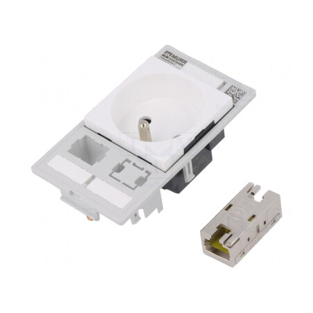 Soclu E 250VAC 16A IP20 pe Panou cu RJ45 și Furcă 4mm | Electronic-mag.ro | Componente Electronice