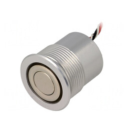 Comutator Anti-Vandalism IP65 2 Poz SPST-NO 0,05A 24VDC | Electronic-mag.ro | Componente Electronice
