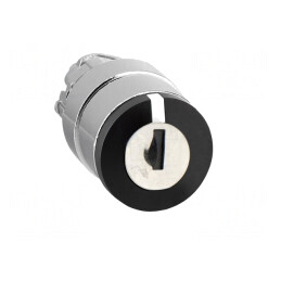 Comutator rotativ cu cheie negru 22mm 2 poziții | Electronic-mag.ro | Componente Electronice
