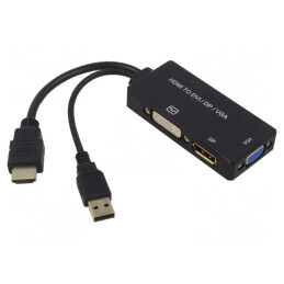 Convertor DisplayPort la HDMI cu USB 0,2m