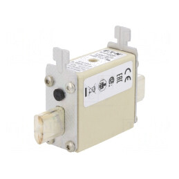 Siguranță Industrială NH000 100A 690VAC | Electronic-mag.ro | Componente Electronice